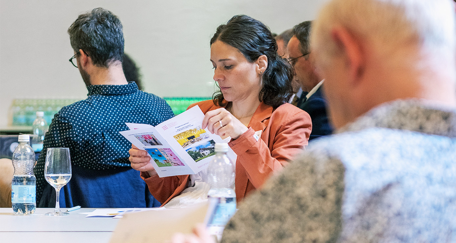 Fachkonferenzen - SODK